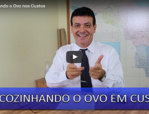 Descozinhando o Ovo em Custos